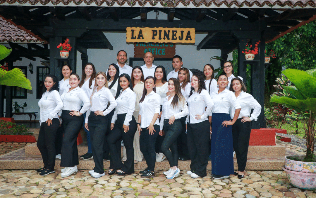 Caracterización Ciudadanos 2026