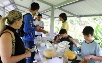 AgroCEES el emprendimiento en 9°